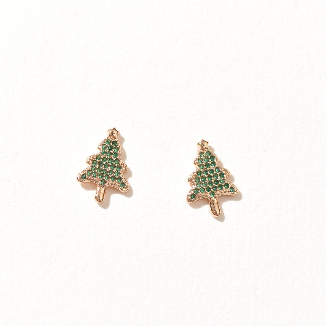 Grand Fir | Warm Gold